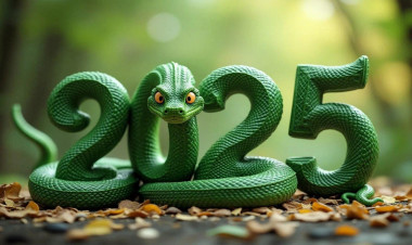 2025-ci ildə sizi nə gözləyir? - Şəkil falçılıq TESTİ