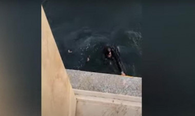 FHN dənizdə batan gənci belə xilas etdi - VİDEO