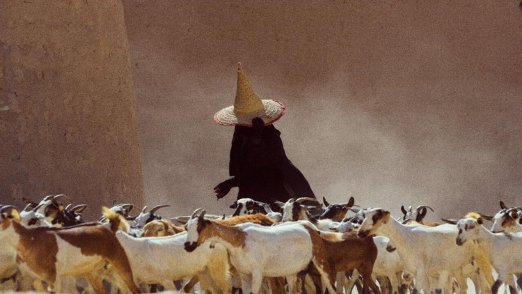 Keçi otaran çobandan maraqlı kəşf - İnsanları xoşbəxt etdi - FOTOlar