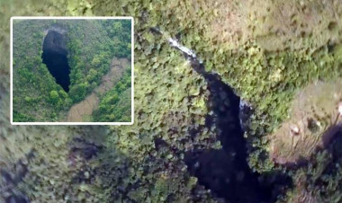 Çində meşə ilə örtülmüş nəhəng mağara tapıldı - FOTOlar