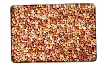 Nə ət, nə meyvə, nə də tərəvəz: Dünyanın ən sağlam qidası açıqlandı — 100 baldan 97 aldı