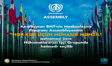 Azərbaycan BMT Hökumətlərarası İşçi Qrupunda həmsədr seçilib - FOTO