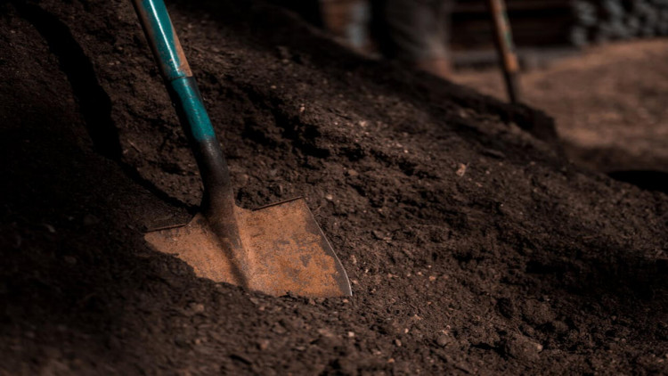 Bakıda qadın ərini öldürüb həyətdə basdırdı, üzərində güllər əkdi