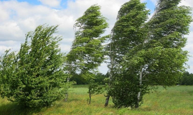 Sabah güclü külək əsəcək - XƏBƏRDARLIQ