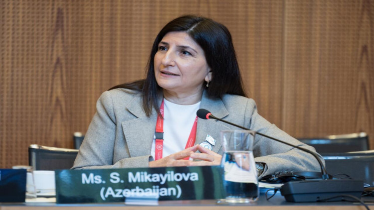 Deputat Sevil Mikayılova Cenevrədə beynəlxalq tədbirdə çıxış edib - VİDEO - FOTO