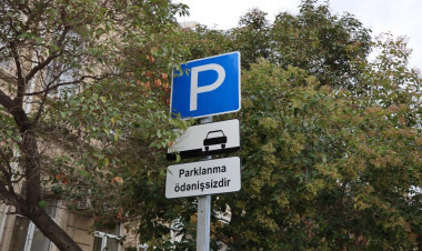 Yaxın günlərdə bu ərazilərdə də parklanma yerləri pullu olacaq - SİYAHI