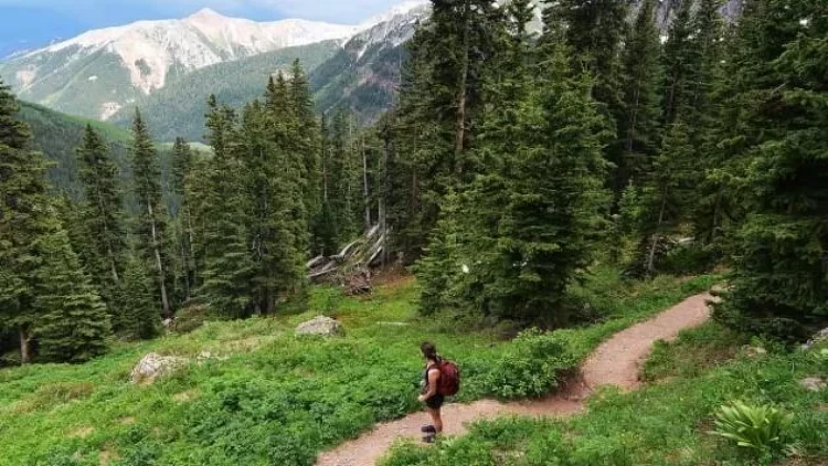 20 dəqiqə belə kifayətdir - Təbiətdə olmağın 4 FAYDASI