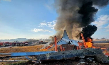 Cənubi Koreyada qəzaya uğrayan təyyarə 2 gün əvvəl  təcili eniş edib