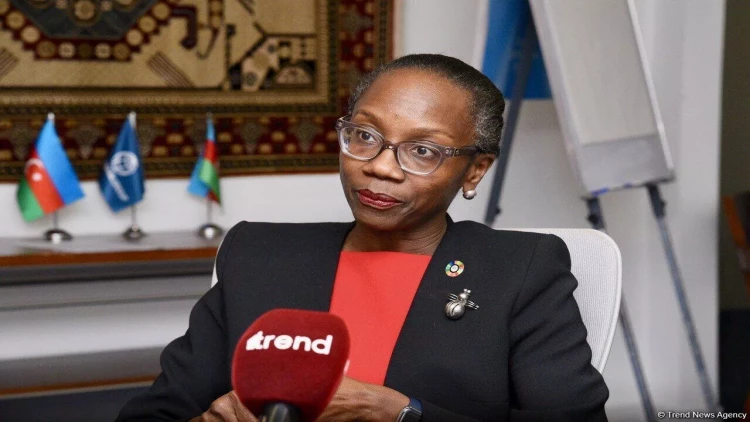 Roland Prays Prezident İlham Əliyevə başsağlığı verdi