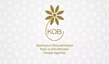 Azərbaycanda ilk KOB klaster şirkəti yaradılıb - FOTO