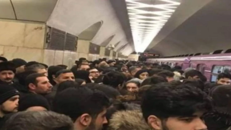 Cibə xeyri olsa da, səhhətə ziyandır