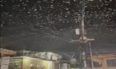 Güclü zəlzələdən sonra Filippin səmasında əsrarəngiz mənzərə - VİDEO