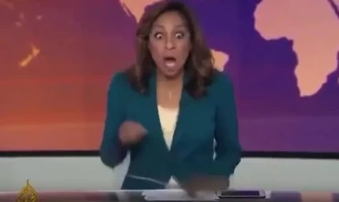 “Əl-Cəzirə”nin canlı efirinə siçovul girdi - VİDEO