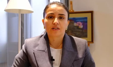 Həmin direktordan növbəti şikayət - “50-dən çox adamı işdən çıxarıb...”