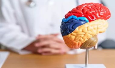 “Qadın” hormonu kişiləri stressdən qoruyurmuş