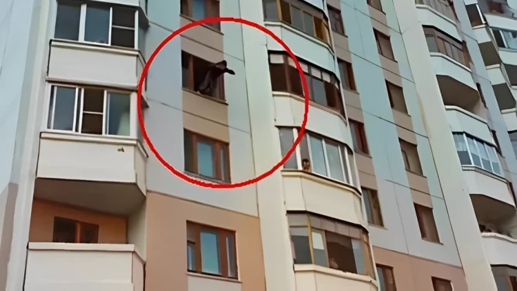 Dəhşətli hadisə: yeniyetmə eyvandan yıxılıb ÖLDÜ - Anbaan VİDEO