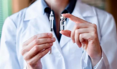 Azərbaycanda peyvəndləmə başlayır