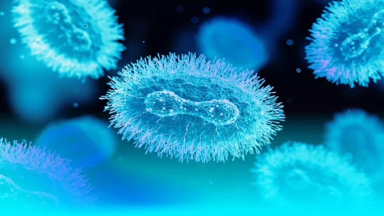 Çin hökuməti meymunçiçəyinin yeni ştammına görə təcili tədbirlərə başladı