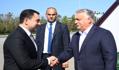 Orban Qəbələdədir - FOTO