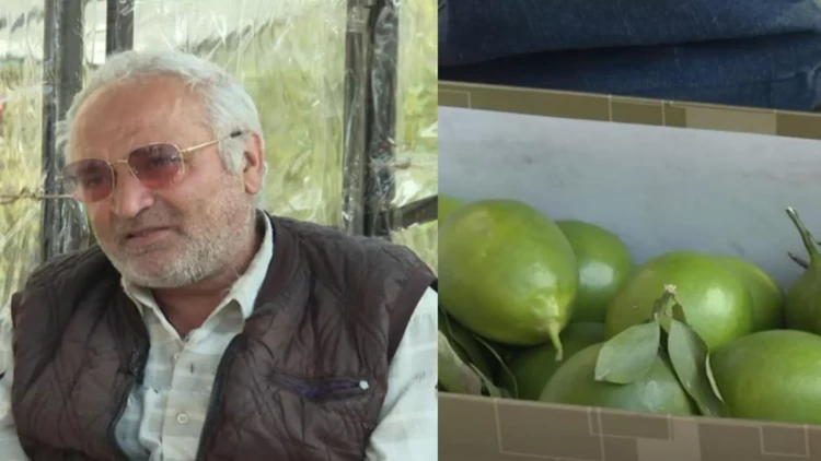 50 qəpiyə limon satır, hesabında milyonu var - VİDEO