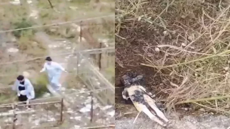 Bakıda qəbirstanlığa cadu basdıran qadınların görüntüləri yayıldı - VİDEO