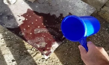 Qurd yağı nədən hazırlanır? - 