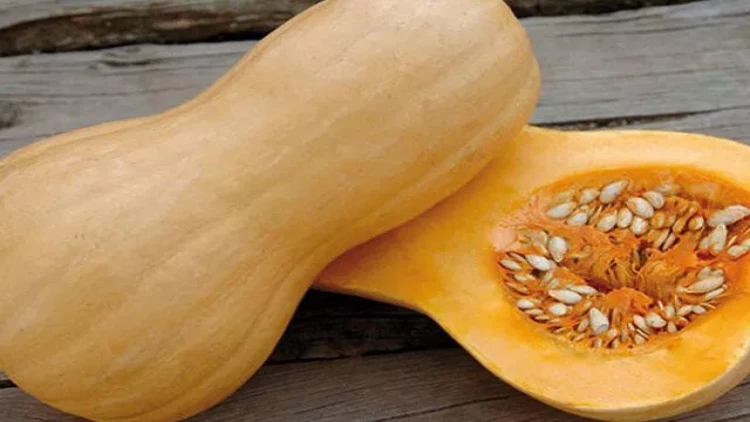 Tez-tez boranı yeməyin orqanizmə 5 faydası