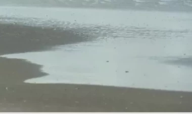 Xəzərin məyus edən görüntüləri - axırı necə olacaq? - VİDEO