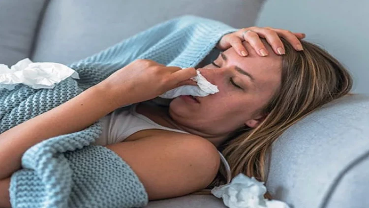 Evdə allergiyanı 30 dəqiqəyə azaldan texnologiya