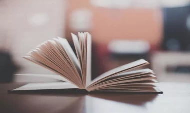 Zibillikdən tapılan kitab 40 min funt sterlinqə satılacaq - FOTO