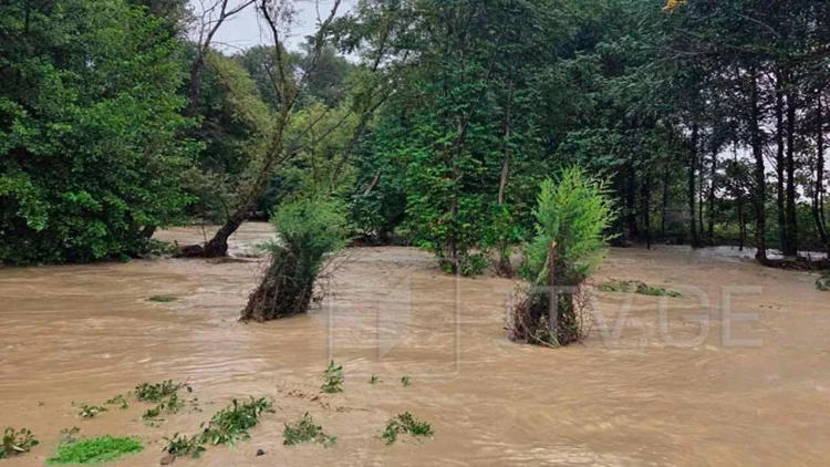 Gürcüstanda azərbaycanlıların yaşadığı kəndləri su basdı - VİDEO