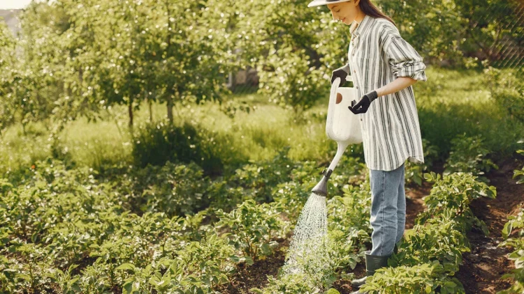 Stressin ən təbii dərmanı