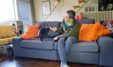 4 qulaqlı pişik görənləri MAT QOYDU - FOTOlar