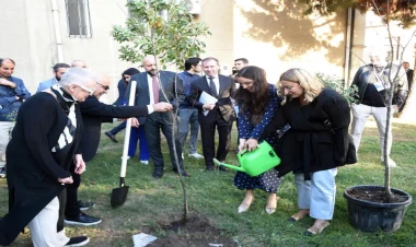 “ART Weekend” çərçivəsində “Püstə: canlı irs” performansı təqdim edilib - FOTO