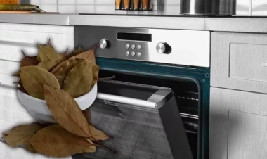 Sobaya dəfnə yarpağı qoyun - nəticəyə inanmayacaqsınız