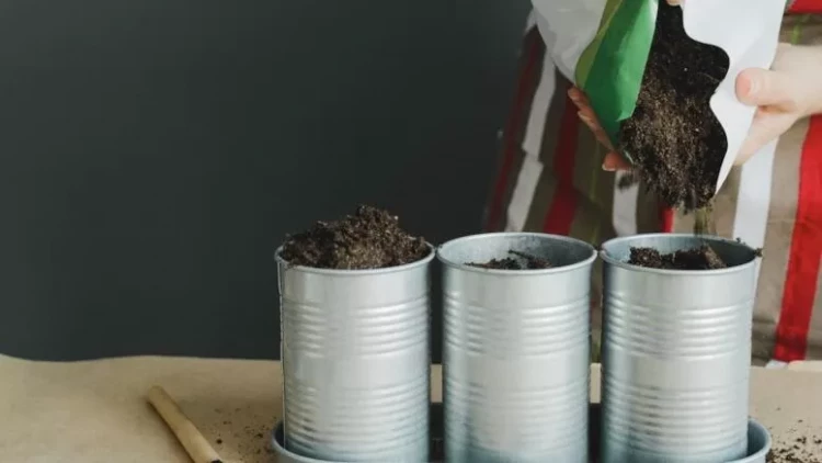 Nə bağ, nə də torpaq tələb etmir: Bir dəfə ək, il boyu məhsul yığ