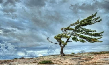 Güclü külək əsəcək - XƏBƏRDARLIQ