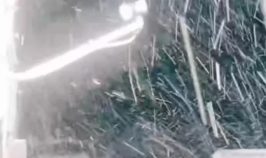 Laçına qar yağır - FOTO