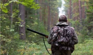 Ov ovlamaq, quş quşlamaq istəyənlərə MƏHDUDİYYƏT: Ancaq qeydiyyat ünvanı üzrə icazə var