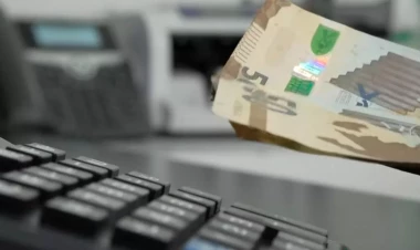 Azərbaycanda bu şəxslərə yüksək məbləğdə pul veriləcək - SİYAHI