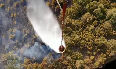 Qızılağac Milli Parkında yanğın - VİDEO