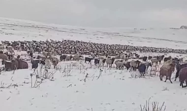 Kəlbəcərə qar yağıb