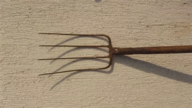 Göygöldə 26 yaşlı qadın sevgilisini yaba ilə döydü