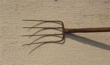 Göygöldə 26 yaşlı qadın sevgilisini yaba ilə döydü