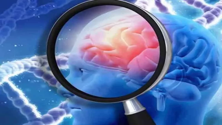 Beynimiz qərar verəndə necə işləyir? - Alimlər tapdı