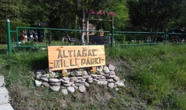 Altıağacın piknik ərazisini icarəyə verdilər - Giriş üçün əlavə pul yığılır - YENİLƏNİB