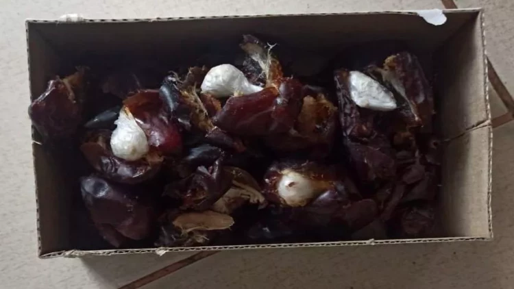 Müəssisəsiyə narkotik və psixotrop maddələrin keçirilməsinin qarşısı alınıb