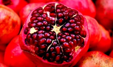 Nar 8 manata satılır