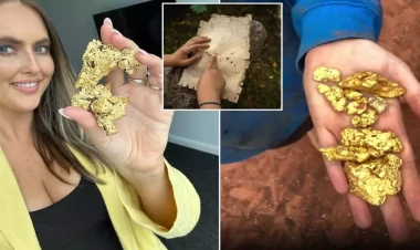 Qazdığı hər yerdən külçə-külçə qızıl tapan qadın xəritəni paylaşdı - FOTO