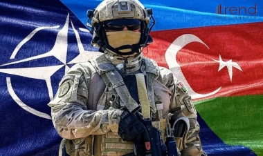 NATO Azərbaycanla hansı əməkdaşlığı seçəcək?